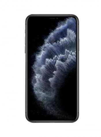 iPhone 11 Pro Max With FaceTime Space Gray 256GB 4G LTE - International Specs