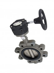 Ductile Iron Lug Type Butterfly Valve Grey/Black 14inch reviews Ductile Iron Lug Type Butterfly Valve Grey/Black 14inch