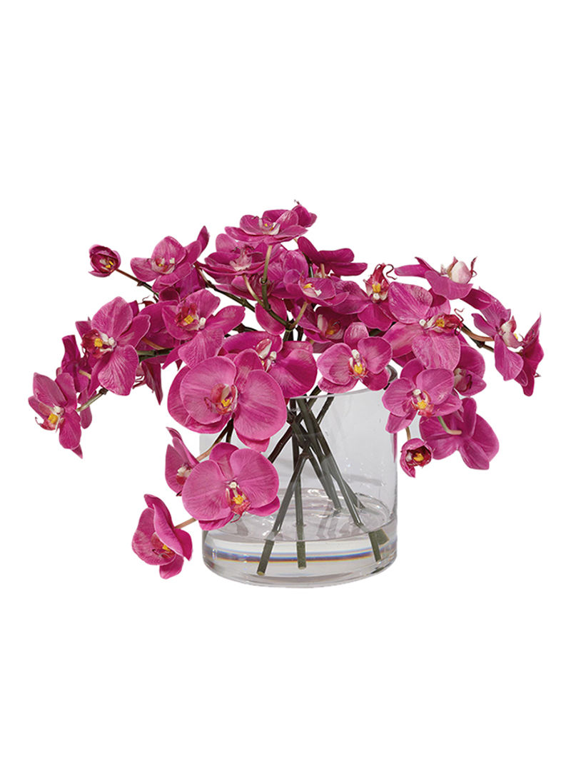 Orchids In Glass Cylinder Fuchsia/Clear