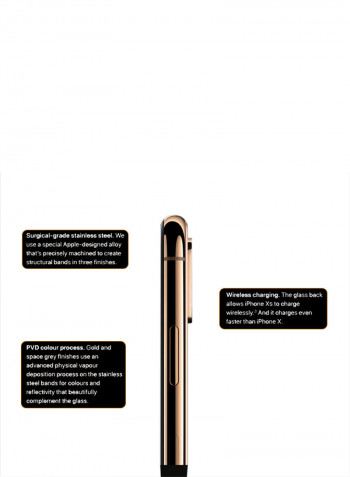 iPhone Xs Max With FaceTime Gold 512GB 4G LTE