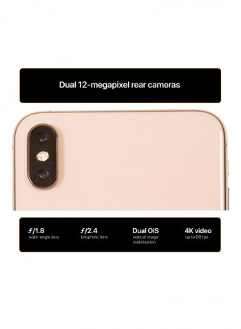 iPhone Xs Max With FaceTime Gold 512GB 4G LTE