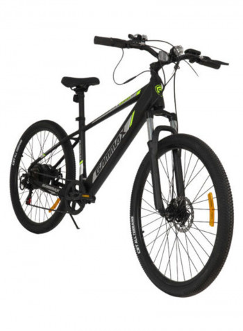 Mountain E-Bike