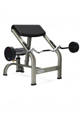 Preacher Curl Bench