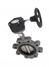Ductile Iron Lug Type Butterfly Valve Grey/Black 12inch reviews Ductile Iron Lug Type Butterfly Valve Grey/Black 12inch