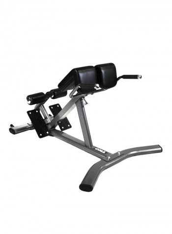 Hyper Extension Adjustable Fitness Bench