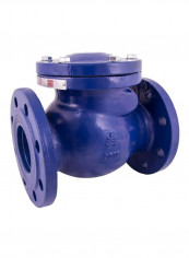 Swing Check Valve Blue 10inch reviews Swing Check Valve Blue 10inch