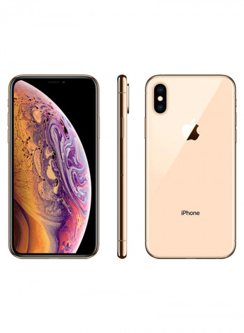 iPhone XS Max With FaceTime Gold 512GB 4G LTE - International Specs