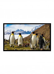 Wall Mounted Projector Screen PRJTPFL112 Black reviews Wall Mounted Projector Screen PRJTPFL112 Black