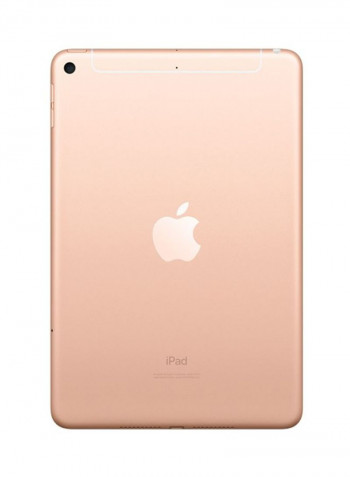 iPad Mini With Face Time 7.9-Inch, 256GB, Single SIM Wi-Fi, 4G LTE Gold