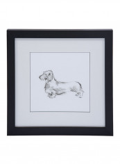 English Dogs IV Wall Painting White 94x95x11centimeter