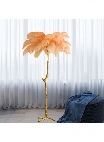 Ostrich Feather Floor Lamp Pink/Brown