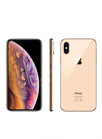 iPhone XS With FaceTime Gold 256GB 4G LTE - International Specs