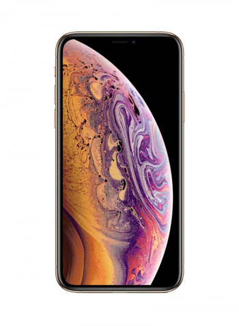 iPhone XS With FaceTime Gold 256GB 4G LTE - Middle East Region
