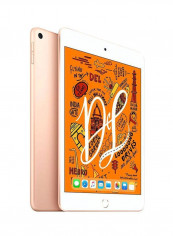 iPad Mini 2019 (5th Generation) 7.9inch, 256GB, WI-Fi, 4G LTE Gold With FaceTime