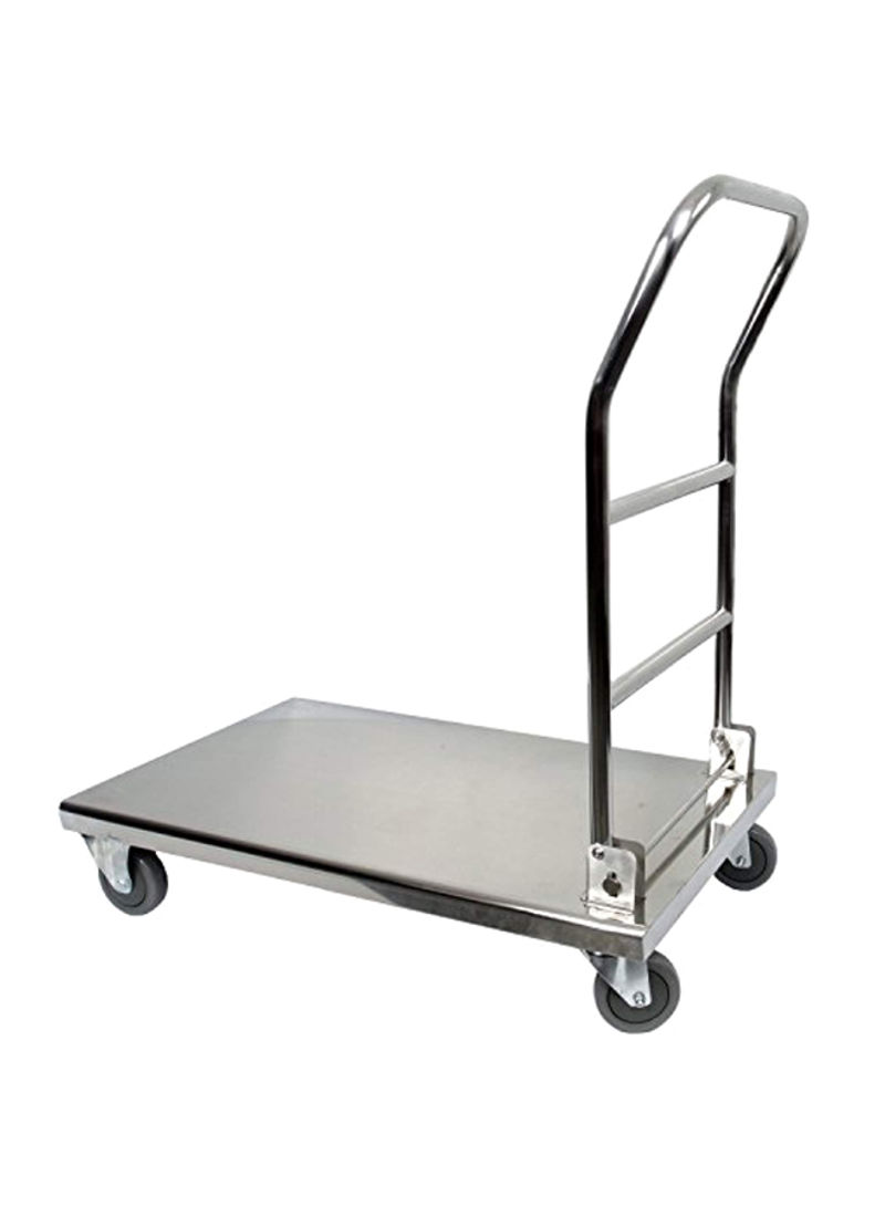 Stainless Steel Platform Trolley Silver 32 x 20.5 x 43.5 inchesinch