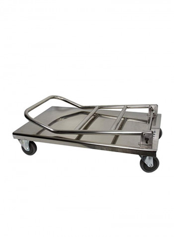 Stainless Steel Platform Trolley Silver 32 x 20.5 x 43.5 inchesinch