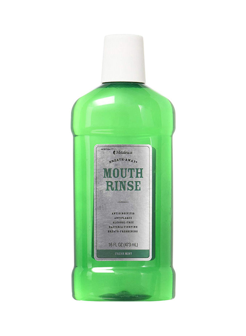 Breath-Away Mouth Rinse-Fresh Mint 16ounce