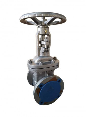 Carbon Steel Rising Stem Gate Valve Silver/Blue/Red