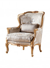Nafisa 1-Seater Sofa Gold reviews Nafisa 1-Seater Sofa Gold