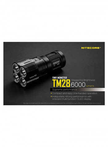 TM28 Flashlight