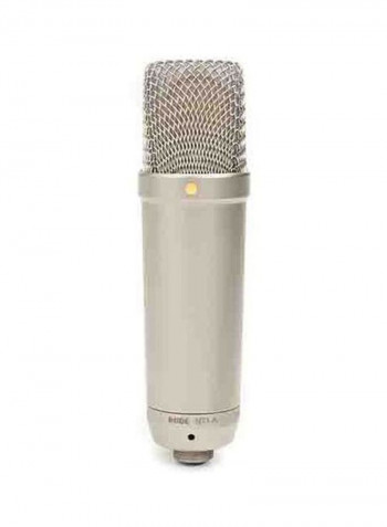 Studio Condenser Microphone NT2000 Silver