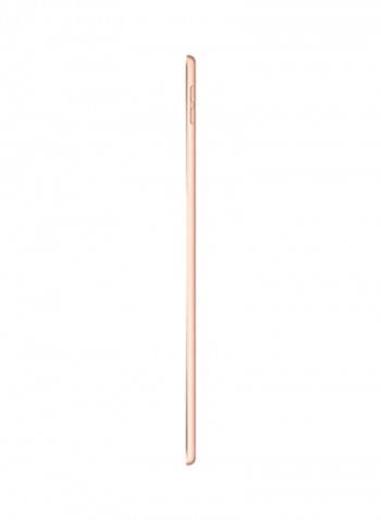 iPad Mini 2019 (5th Generation) 7.9inch, 256GB, Wi-Fi Gold Without Facetime
