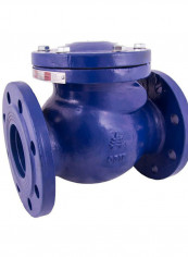 Classic DI Swing Check Valve Blue 8inch reviews Classic DI Swing Check Valve Blue 8inch