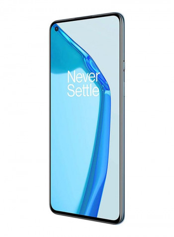 9 Dual Sim 12GB RAM 256GB 5G Arctic Sky - Chinese Version