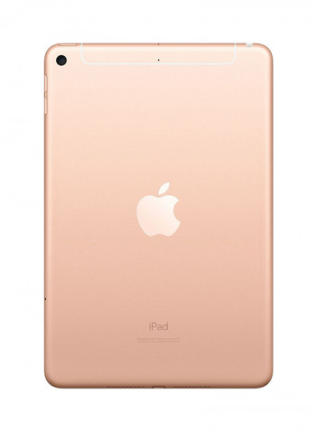 iPad Air 2019 (3rd Generation) 10.5inch, 64GB, Wi-Fi, 4G LTE Gold Without Facetime