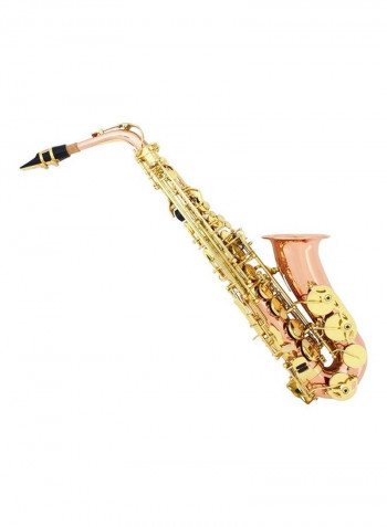 12-Piece Eb Alto Saxophone Set