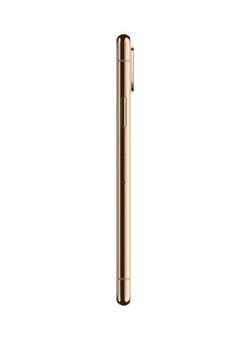 Refurbished - iPhone XS Max With FaceTime Gold 256GB 4G LTE - International Specs