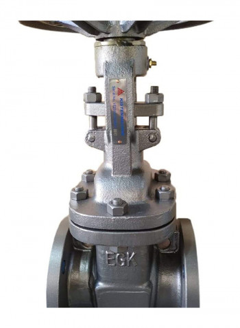 Carbon Steel Gate Valve DN125 CL150 Flanged Silver 5inch