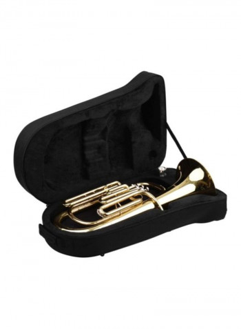 Baritone Wind Instrument Kit