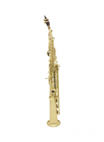 Exquisite Soprano Saxophone