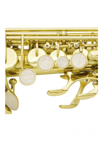 Exquisite Soprano Saxophone