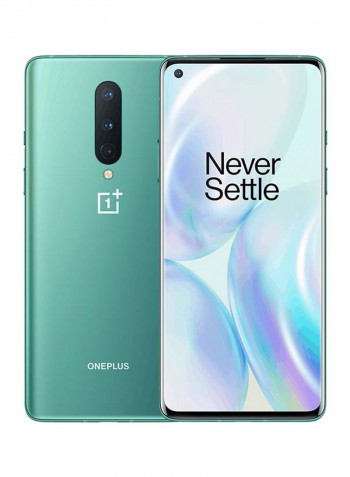 8 Dual SIM Glacial Green 12GB RAM 256GB 5G - Global Version