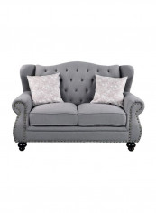 Emilia 2-Seater Sofa Dark Grey 62.99x38.97x38.97inch