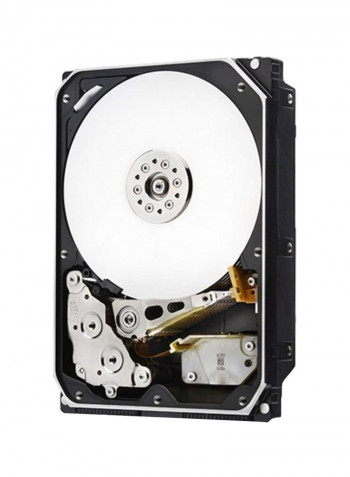 Ultrastar Internal Hard Drive 10TB Black/Silver