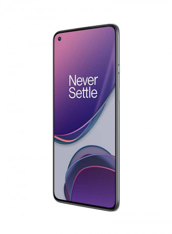 8T Dual Sim Lunar Silver 12GB RAM 256GB 5G - Chinese Version
