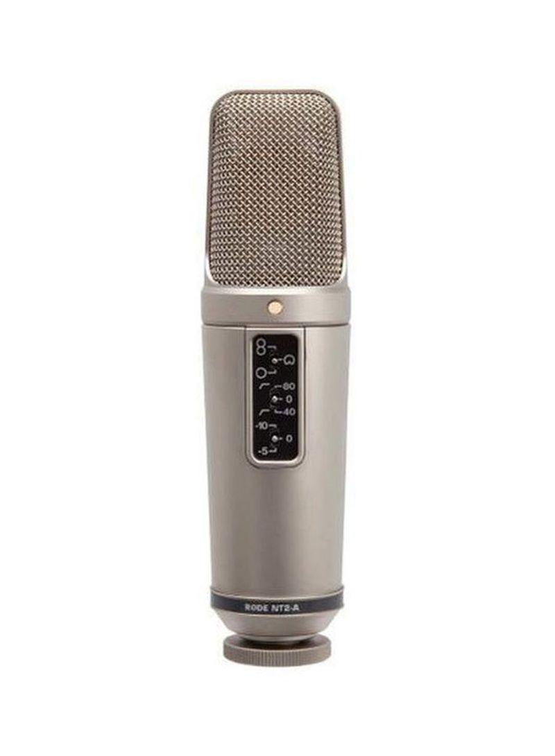 Microphones NT2-A silver