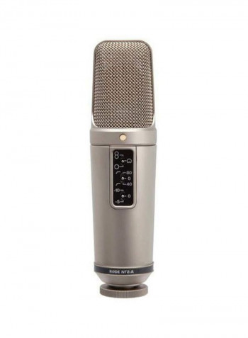 Microphones NT2-A silver