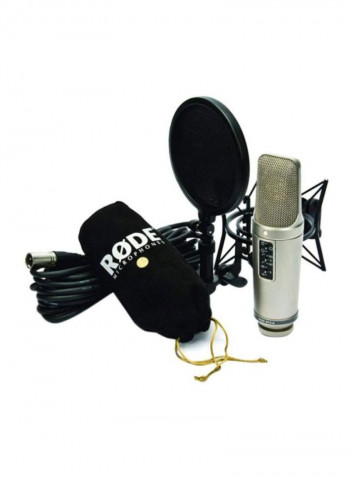 Microphones NT2-A silver