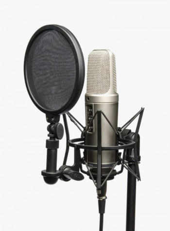 Microphones NT2-A silver