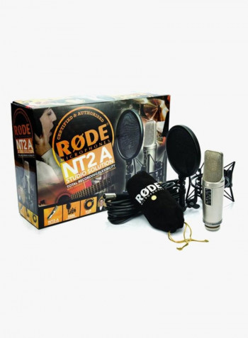 Microphones NT2-A silver