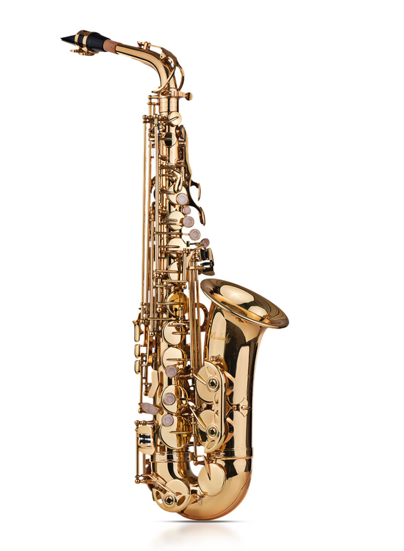 Gold Brass Metal Saxophone Silver With All Assecories