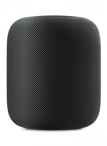 HomePod Space Gray
