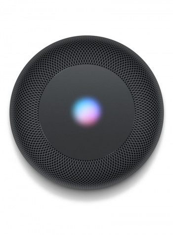 HomePod Space Gray