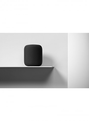 HomePod Space Gray