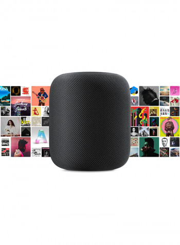 HomePod Space Gray