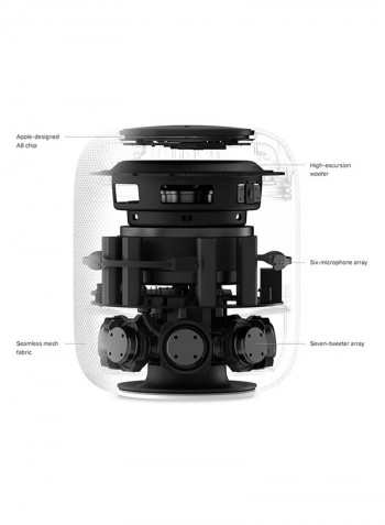 HomePod Space Gray